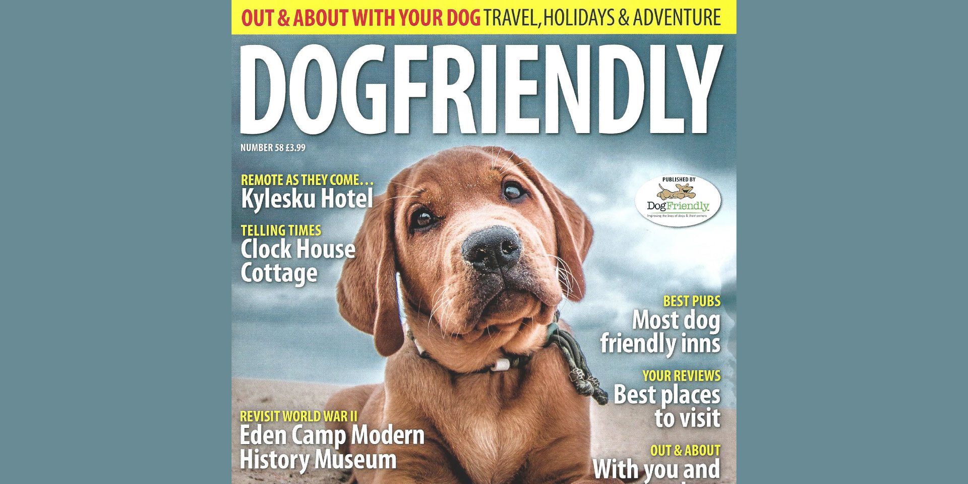 We are #DogFriendly!